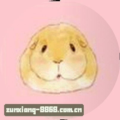 孙鹏