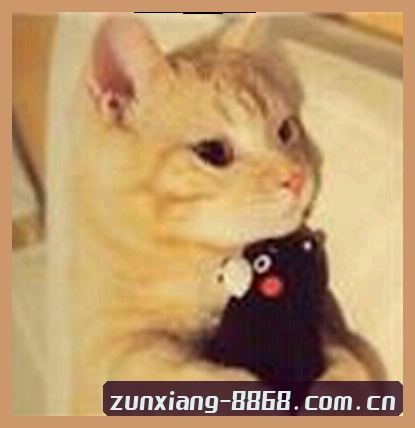 李婷